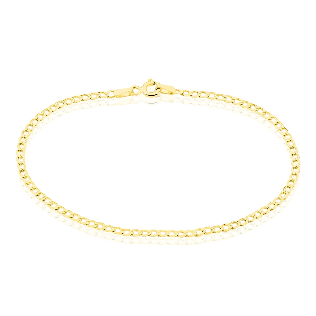 Bracelet Fermine Maille Gourmette Or Jaune 1 Bracelet Fermine Maille Gourmette Or Jaune