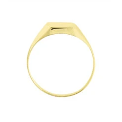 Chevalière Ayliz Or Jaune -Histoire d'Or B3HMJW0208 view2