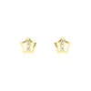 Boucles D'oreilles Puces Elais Etoile 5 Or Jaune Oxyde