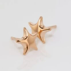 Boucles D'oreilles Puces Or Rose Lison Alphonsine -Histoire d'Or B3OMRW0002 view2