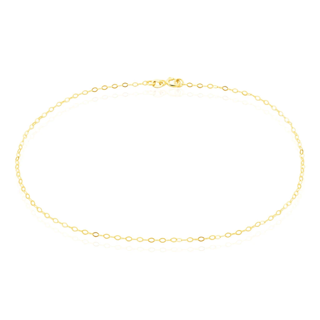 Chaîne De Cheville Maille Forçat Or Jaune 1 Chaîne De Cheville Maille Forçat Or Jaune