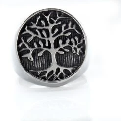 Bague Acier Vieillit Ron -Histoire d'Or FIDHGW0041 view3