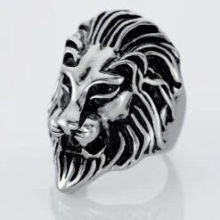 Bague Acier Gris Japeth -Histoire d'Or FIDHGW0044 view3