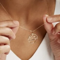 Collier Galvina Plaqué Or Jaune -Histoire d'Or FQCFJW0463 model1