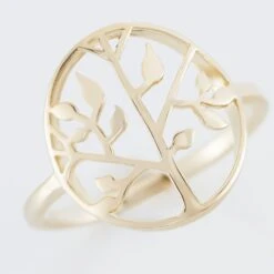 Bague Galvina Plaqué Or Jaune -Histoire d'Or FQDFJW0410 view3