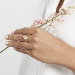 Chevalière Gwennen Plaqué Or Oxyde De Zirconium -Histoire d'Or FQDFJZW554 model1