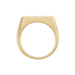 Chevalière Plaqué Hadrien Onyx -Histoire d'Or FQHHJNN116 view2