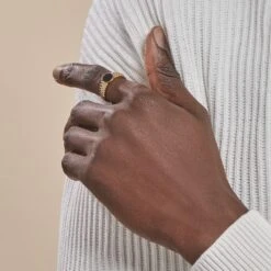 Chevalière Plaqué Or Jaune Haakon Onyx -Histoire d'Or FQHHJNN117 model1