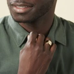 Chevalière Leoncette Plaqué Or Jaune -Histoire d'Or FQHHJW0111 model1