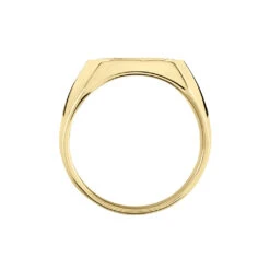 Chevalière Leoncette Plaqué Or Jaune -Histoire d'Or FQHHJW0111 view2