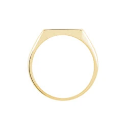 Chevalière Lionel Plaqué Or Jaune -Histoire d'Or FQHHJW0128 view2