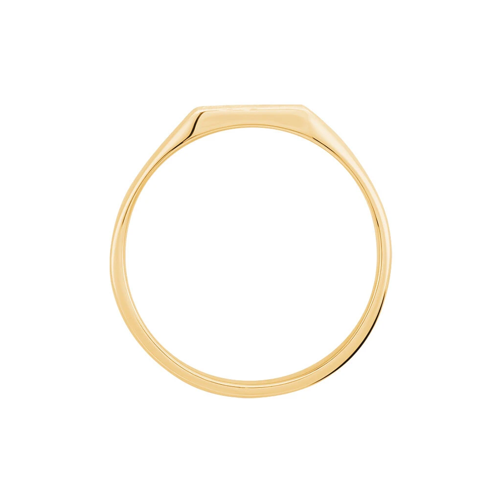 Chevalière Daniel Plaqué Or Jaune 3 Chevalière Daniel Plaqué Or Jaune – Image 3