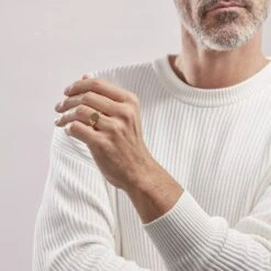 Chevalière Leons Plaqué Or -Histoire d'Or FQHHJW0141 model1