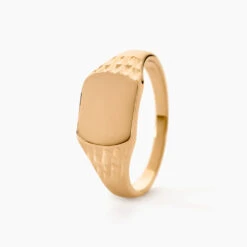 Chevalière Leons Plaqué Or -Histoire d'Or FQHHJW0141 view1