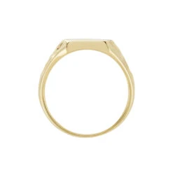 Chevalière Leons Plaqué Or -Histoire d'Or FQHHJW0141 view2