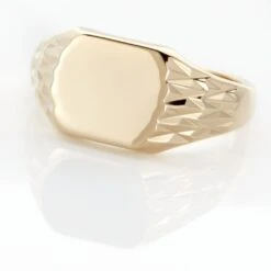 Chevalière Leons Plaqué Or -Histoire d'Or FQHHJW0141 view3