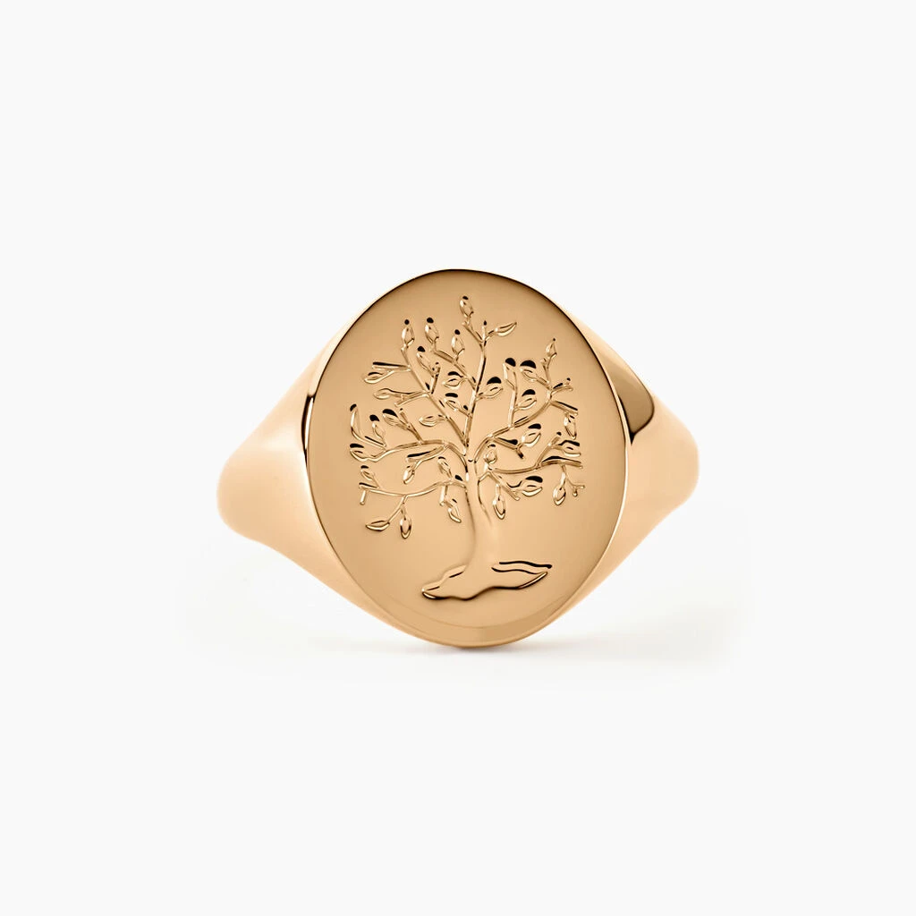 Chevalière Gautier Plaqué Or 1 Chevalière Gautier Plaqué Or