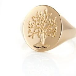 Chevalière Gautier Plaqué Or 9 Chevalière Gautier Plaqué Or -Histoire d'Or FQHHJW0143 view3