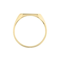 Chevalière Plaqué Or Jaune Alannis -Histoire d'Or FQHHJW0151 view2