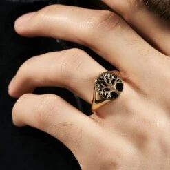 Chevaliere Plaqué Or Jaune Fiken Email -Histoire d'Or FQHHJWN002 model1