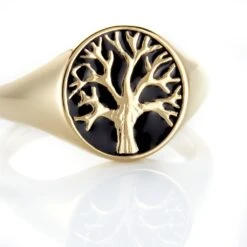 Chevaliere Plaqué Or Jaune Fiken Email -Histoire d'Or FQHHJWN002 view3