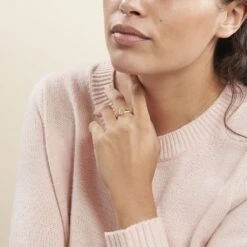 Chevalière Gregoire Plaqué Or Jaune -Histoire d'Or FQHMJW0109 model0