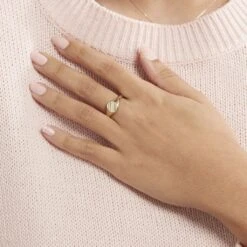 Chevalière Gregoire Plaqué Or Jaune -Histoire d'Or FQHMJW0109 model1