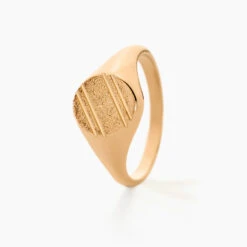 Chevalière Gregoire Plaqué Or Jaune -Histoire d'Or FQHMJW0109 view1