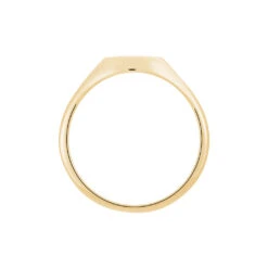 Chevalière Gregoire Plaqué Or Jaune -Histoire d'Or FQHMJW0109 view2