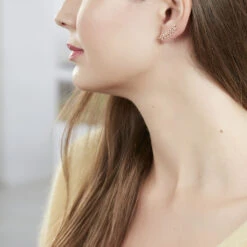 Bijoux D'oreilles Folia Plaqué Or Jaune -Histoire d'Or FQOFJW0180 model0